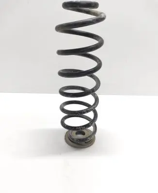 Skoda Yeti (5L) Rear coil spring