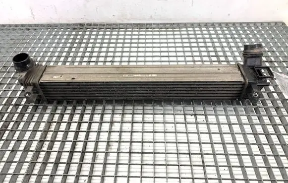 Renault Megane III Intercooler radiator 144961285R