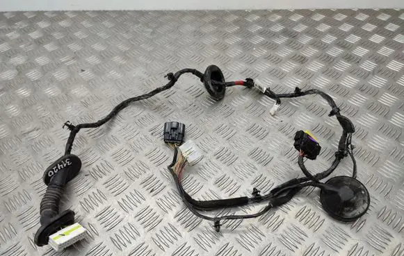 Hyundai Santa Fe Rear door wiring loom 916502W081
