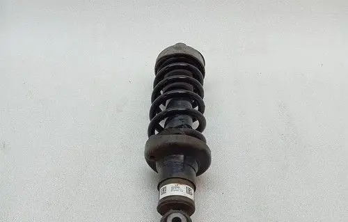Audi R8 42 Rear shock absorber with coil spring 420512020A