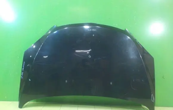 Chevrolet Orlando Engine bonnet/hood WP199