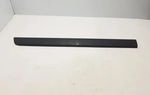 Front door trim (molding)