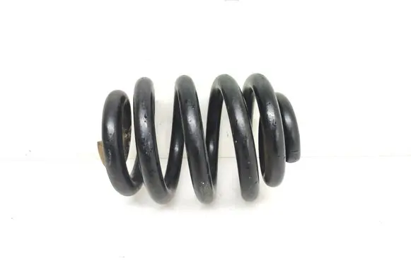 Rear coil spring