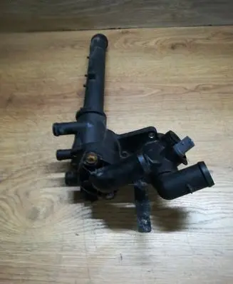 Thermostat/thermostat housing