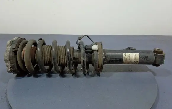 BMW X4 F26 Rear shock absorber/damper 8067507