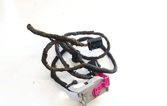 Volkswagen PASSAT B6 Other wiring loom 3C1971558S