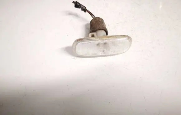 Front fender indicator light