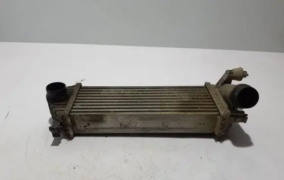 Mercedes-Benz Citan W415 Intercooler radiator 144963234R
