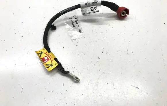 Jaguar I-Pace Other wiring loom M9D314N160AB