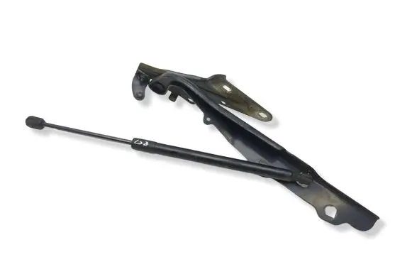 Ram 1500 Engine bonnet/hood hinges
