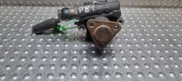 Volkswagen PASSAT B5 Power steering pump S25141092 8D0145177Q