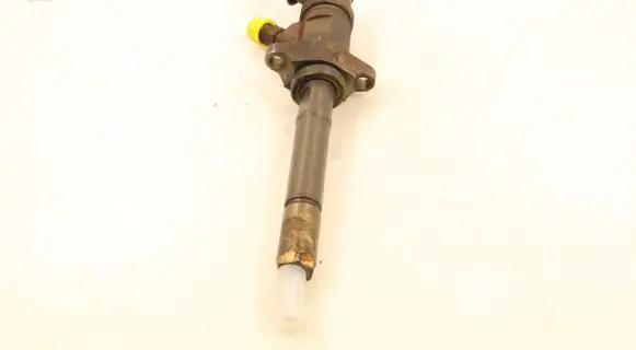 Citroen C4 I Picasso Fuel injector 0445110297