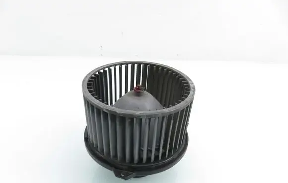 Hyundai Santa Fe Heater fan/blower 972303A010 F00S330020