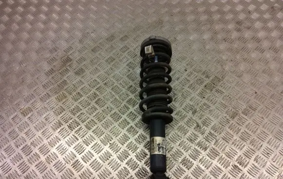 BMW X3 F25 Rear shock absorber with coil spring 6796317