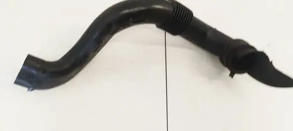 Dacia Sandero Air intake hose/pipe 165556691R
