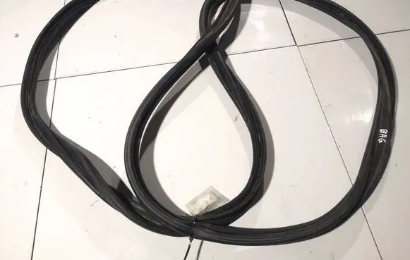 Renault Laguna III Rubber seal rear door 