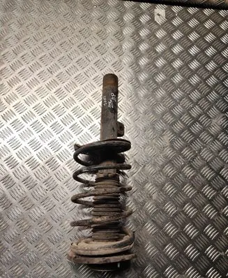 Peugeot 206 Front shock absorber with coil spring