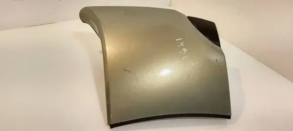 Rear/tail light trim molding
