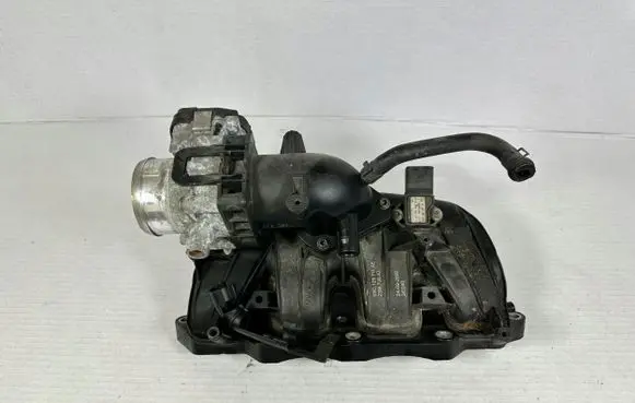Volkswagen Tiguan Throttle valve