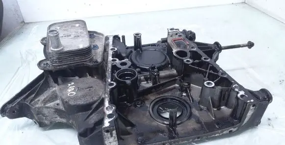 Mercedes-Benz Sprinter W906 Timing chain cover R6460150802 A6461880301