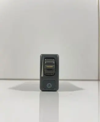 Panel lighting control switch