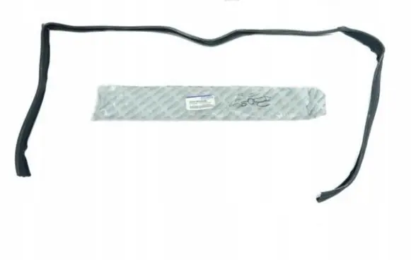 Hyundai Santamo Rubber seal front coupe door 82541M2000BK