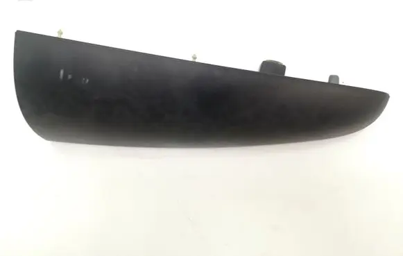 Rear/tail light trim molding