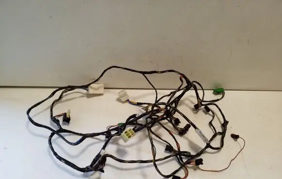 Other wiring loom