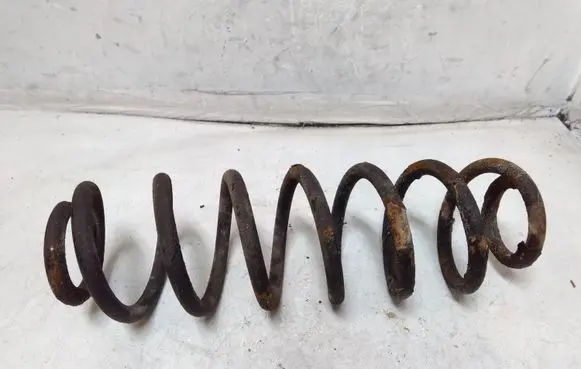 Skoda Roomster (5J) Rear coil spring