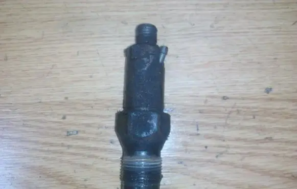 Citroen Berlingo Fuel injector lcr6736001