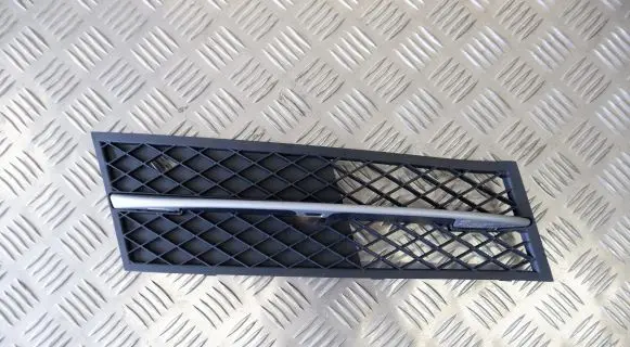 BMW 5 F10 F11 Front bumper lower grill 7231860 7200700