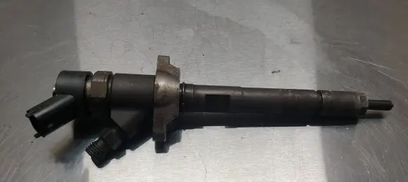 Citroen C5 Fuel injector 892080