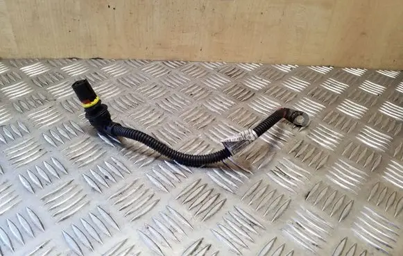 BMW X1 E84 Other wiring loom 7798012