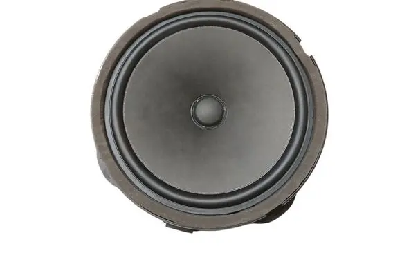 Cupra Leon Front door speaker 5FA035415