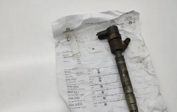 Volvo V70 Fuel injector 0445110298