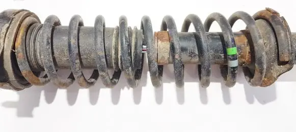 Rear coil spring