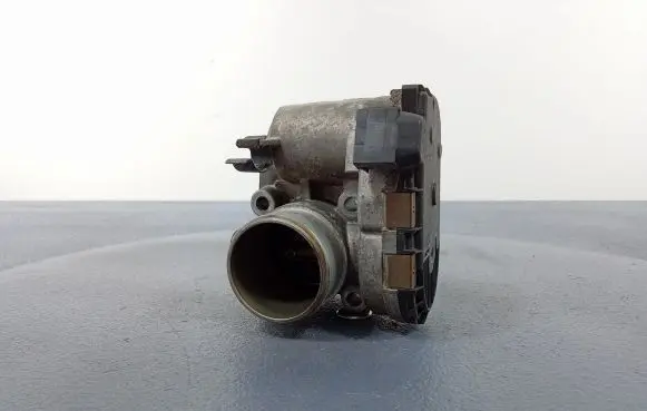 Fiat Punto (188) Throttle body valve 0280750042