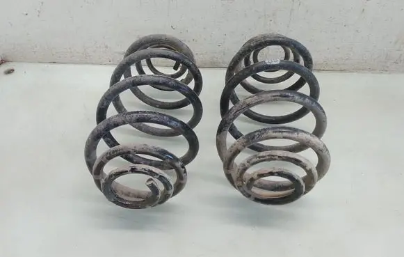 Rear coil spring