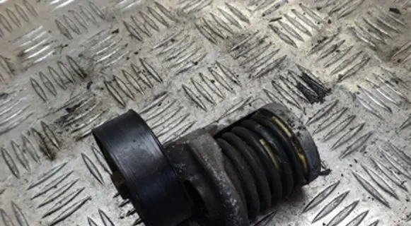 Skoda Octavia Mk2 (1Z) Generator/alternator belt tensioner 038903315