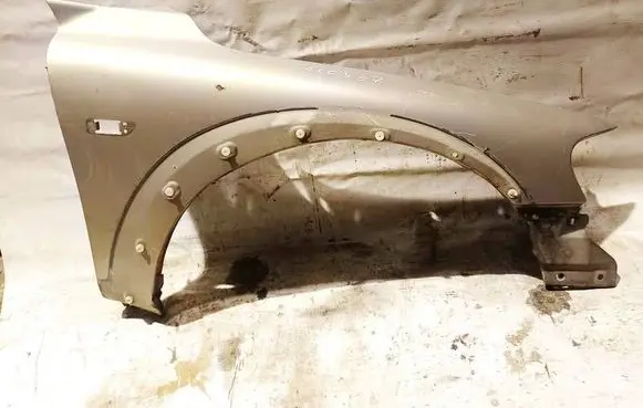 Volvo XC70 Fender Smelio