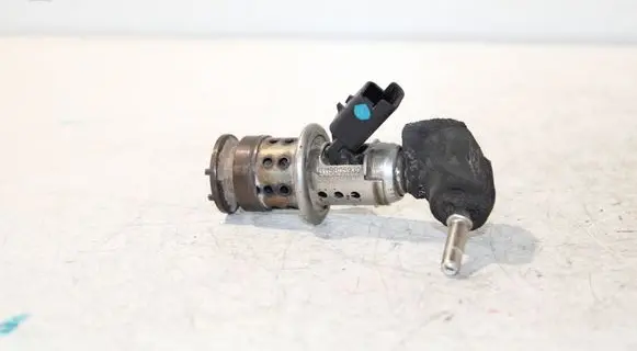 Peugeot Partner AdBlue injector 9802763880