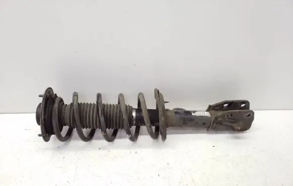 Chevrolet Captiva Front shock absorber with coil spring 95147607