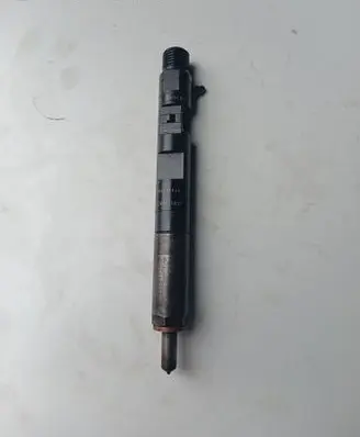 Renault Kangoo I Fuel injector EJBR05102D 4838AB16F71