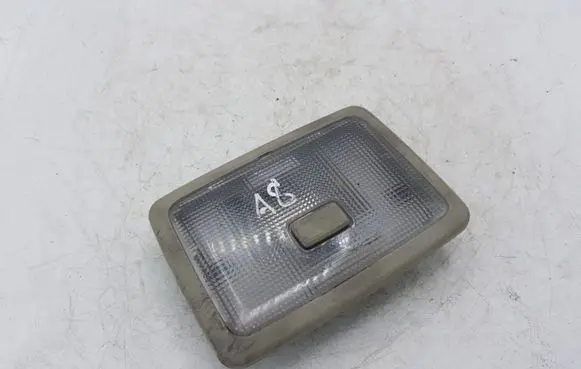 Chevrolet Captiva Rear seat light GMDAEWOO