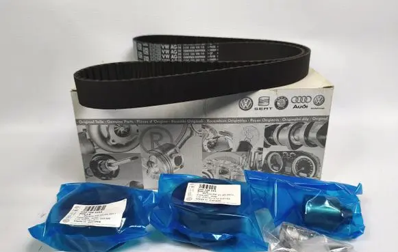 Volkswagen Golf V Timing chain (engine) 03G198119A