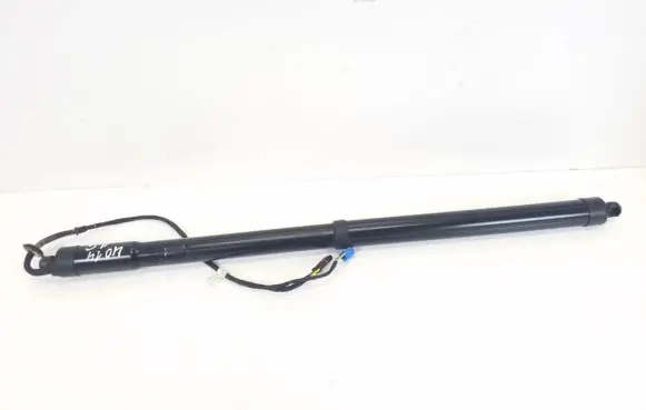 Tailgate strut