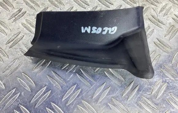 Rear/tail light trim molding