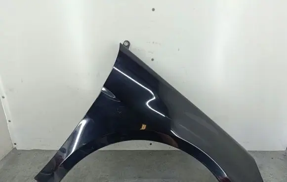 Mercedes-Benz B W245 Fender 191