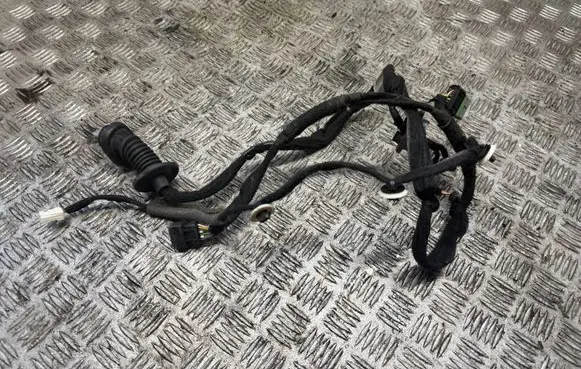 Citroen C4 SpaceTourer Other wiring loom 9816324780