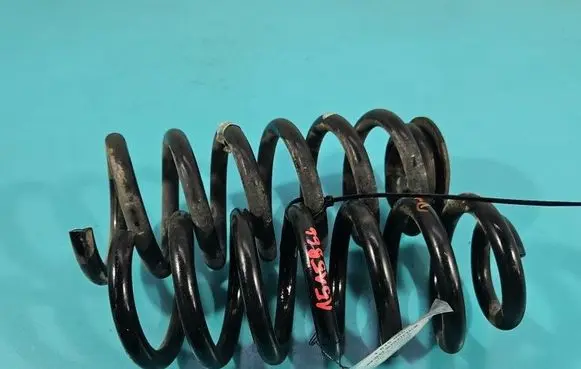 Opel Insignia A Rear coil spring IMPRK1515966